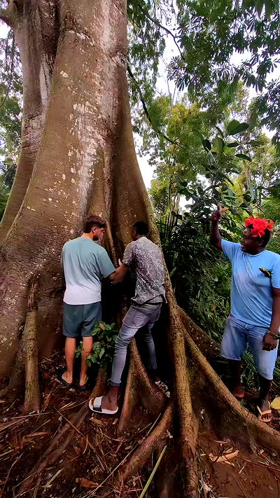 tinapavlov.sky tinapavlov.sky archive video