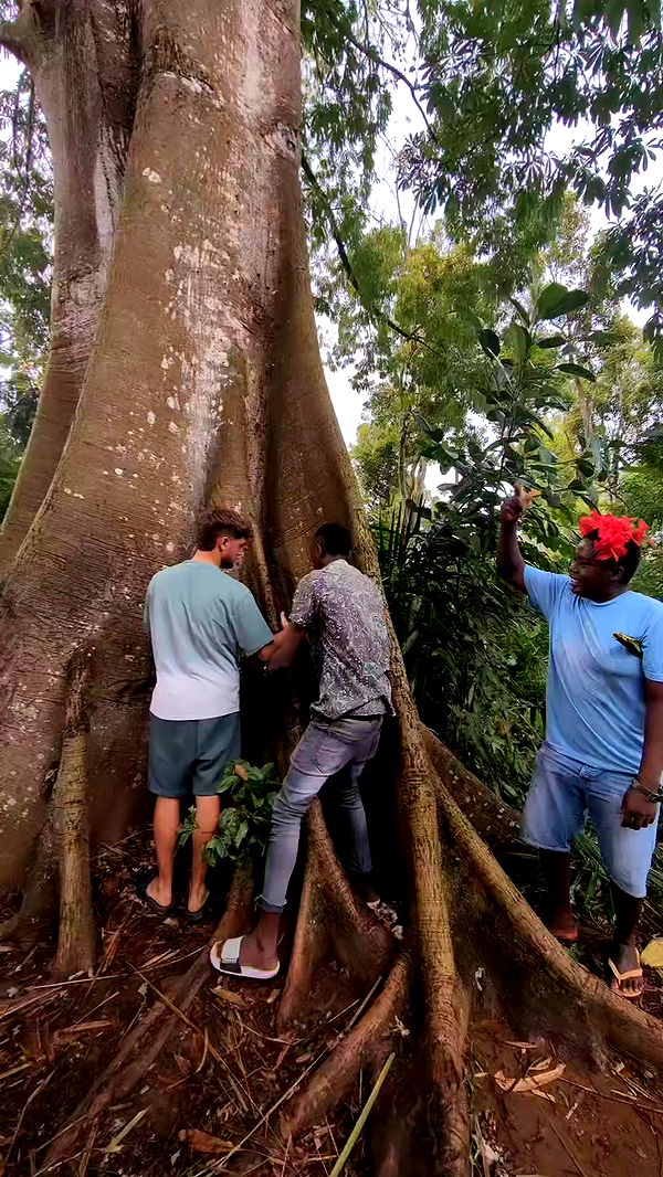 tinapavlov.sky archive video preview