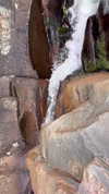 thelauren111 Altpins Profile Picture