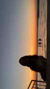 notparris Altpins Profile Picture