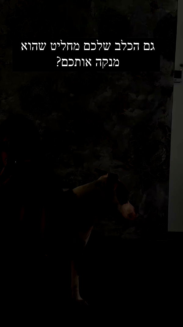 _mashachka_ archive video preview