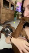 da.rk_.angel Altpins Profile Picture