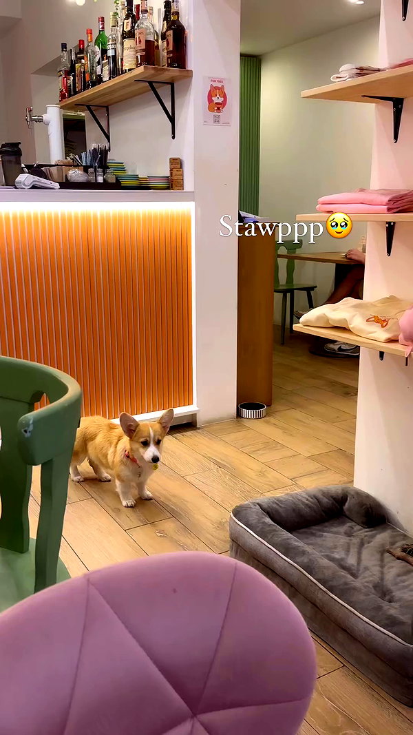 taliah.wilson archive video preview