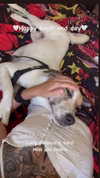 edin.karyn Altpins Profile Picture