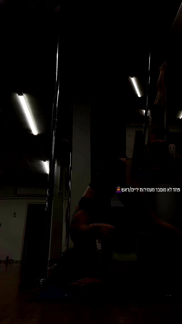 lital.shli archive video preview