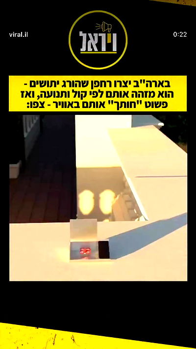 _lil_noa_ _lil_noa_ archive video