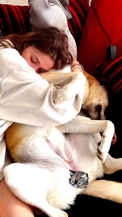 liashaked liashaked archive video