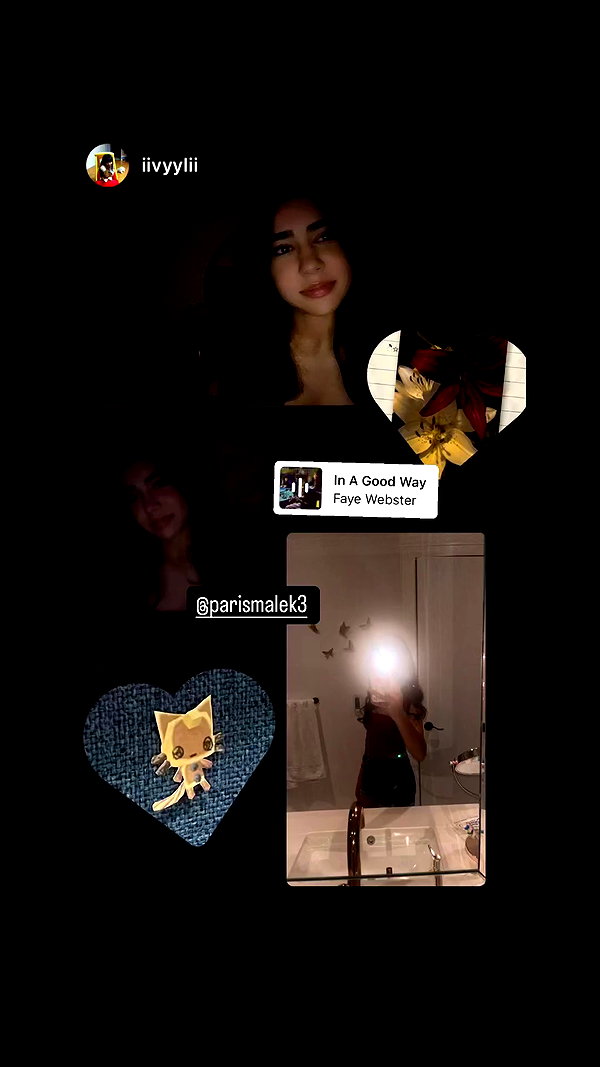 parismalek3 archive video preview