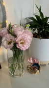 its_.annika Altpins Profile Picture