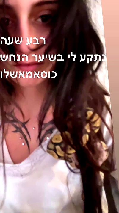 xzot1_met4xx xzot1_met4xx archive video