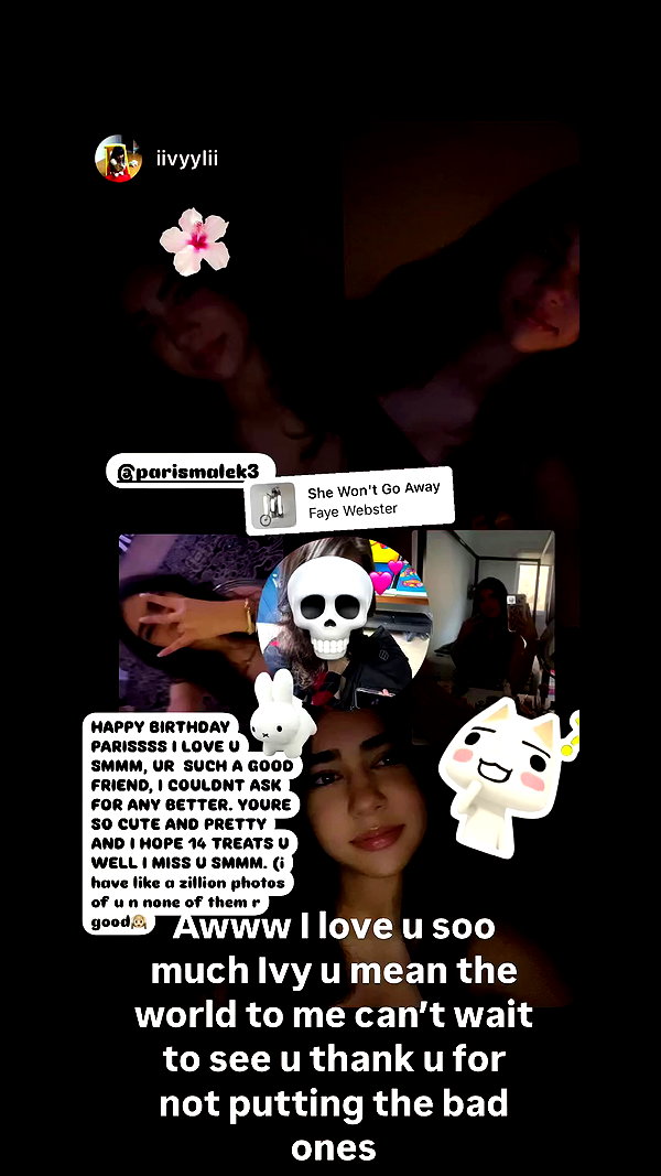 parismalek3 archive video preview