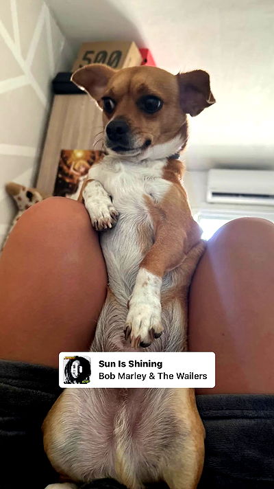 jaroslava_klavir jaroslava_klavir archive video