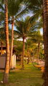 noa_mendel_ Altpins Profile Picture
