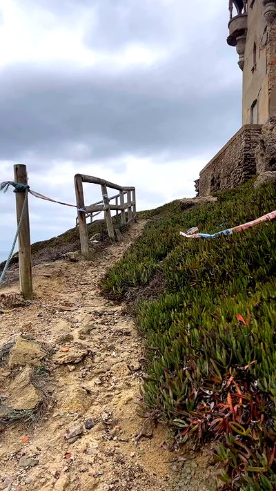 zommmbri zommmbri archive video