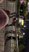 rotem.antman Altpins Profile Picture