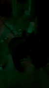 jessysiner Altpins Profile Picture
