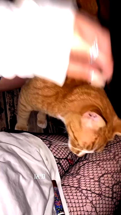 dustheadd dustheadd archive video