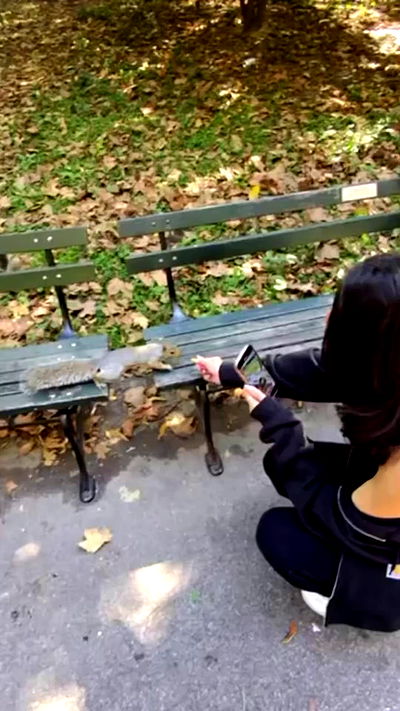 biton__adi biton__adi archive video