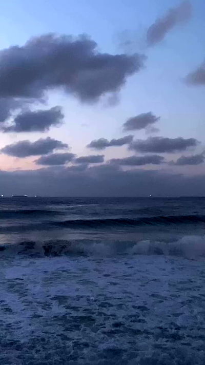 noa_zemlyanski noa_zemlyanski archive video