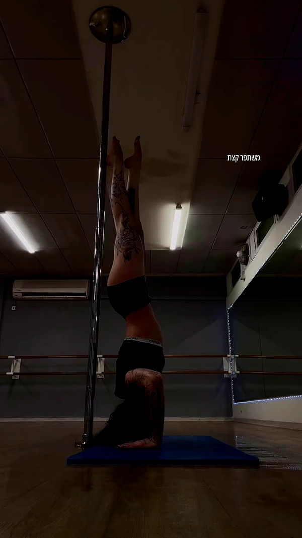 lital.shli archive video preview