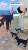 __yaheli_ Altpins Profile Picture