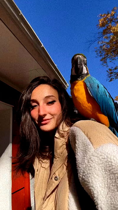 biton__adi biton__adi archive video