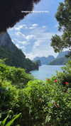 noa_mendel_ Altpins Profile Picture