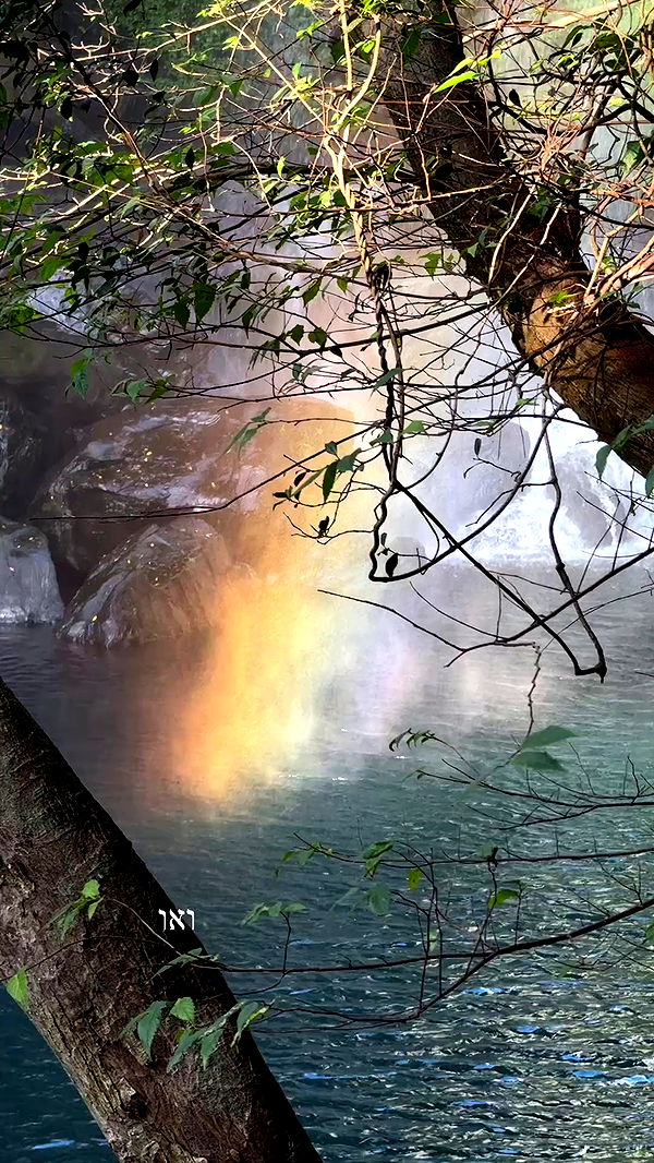 itsilanosh archive video preview