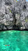 noa_mendel_ Altpins Profile Picture