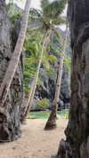 noa_mendel_ Altpins Profile Picture