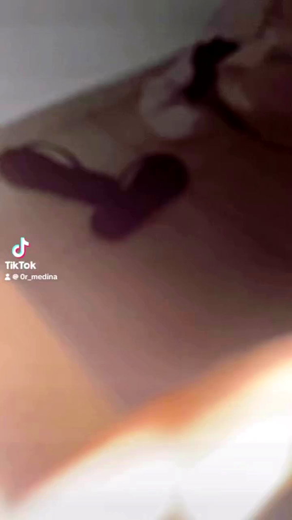 0r_medina archive video preview