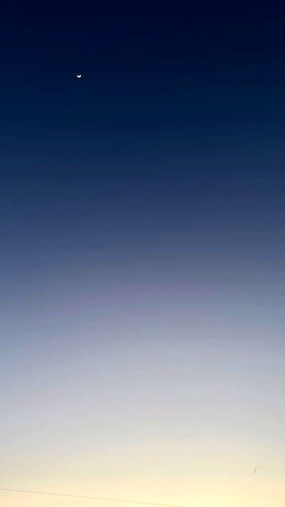 noa_zemlyanski noa_zemlyanski archive video