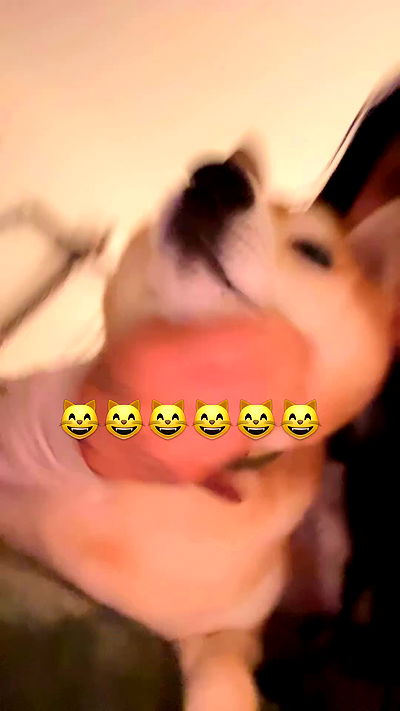 zommmbri zommmbri archive video