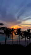 noa_mendel_ Altpins Profile Picture
