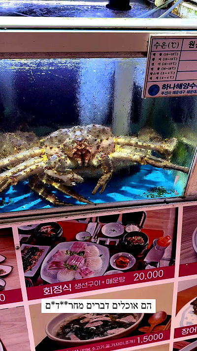 itsilanosh itsilanosh archive video