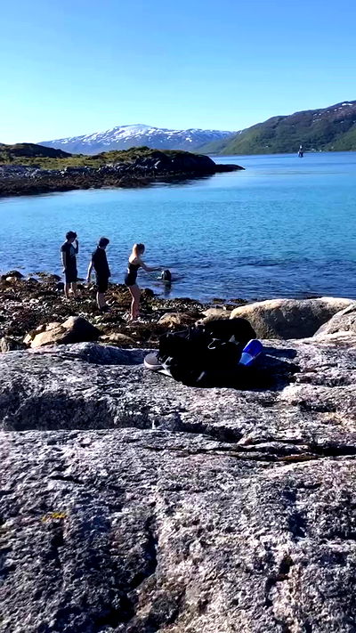 silkton silkton archive video