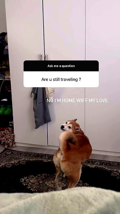 zommmbri zommmbri archive video