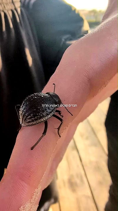 tinapavlov.sky tinapavlov.sky archive video