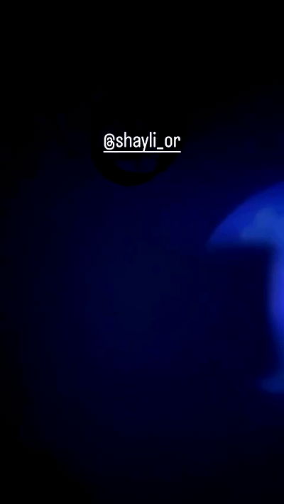 shayli_or shayli_or archive video