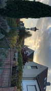 michelleloven_ Altpins Profile Picture