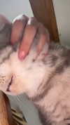 natahalieeee Altpins Profile Picture