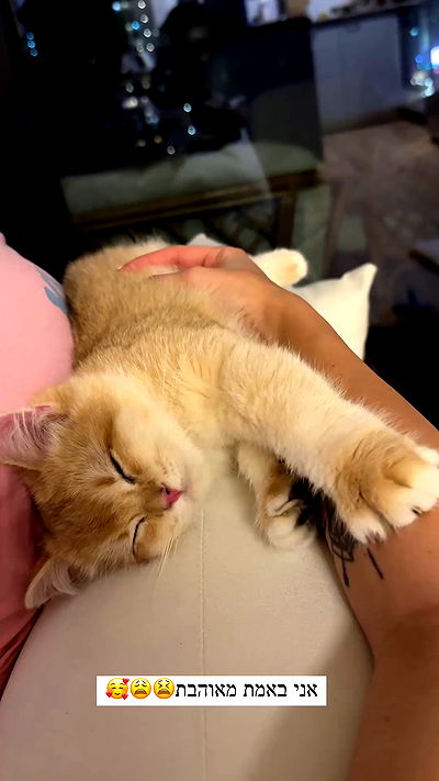 itsilanosh itsilanosh archive video