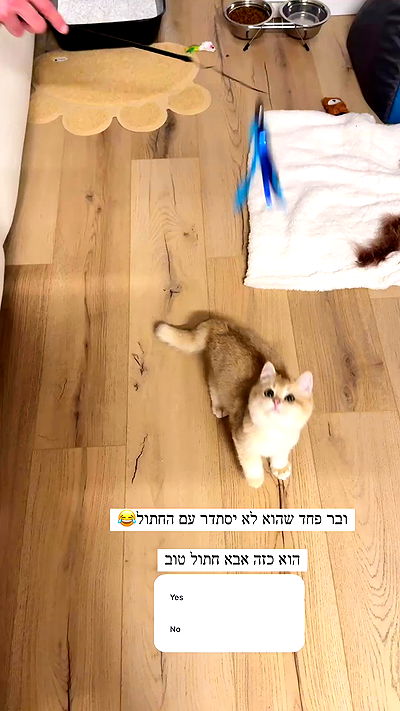 itsilanosh itsilanosh archive video