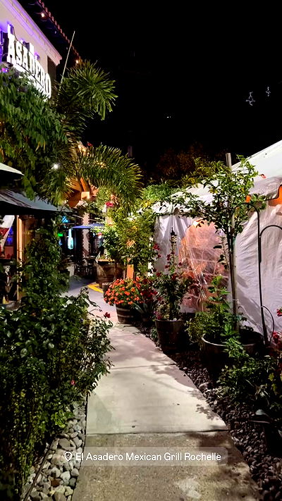 biton__adi biton__adi archive video