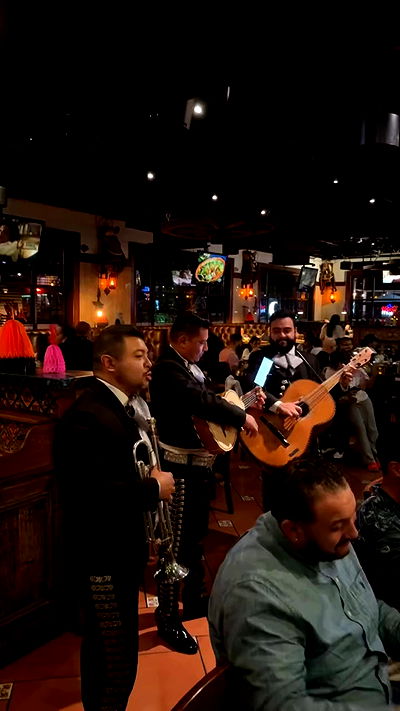 biton__adi biton__adi archive video