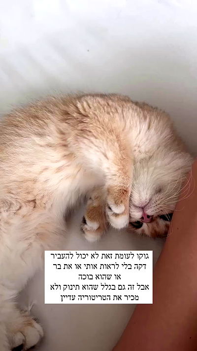 itsilanosh itsilanosh archive video