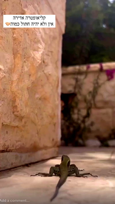 itsilanosh itsilanosh archive video