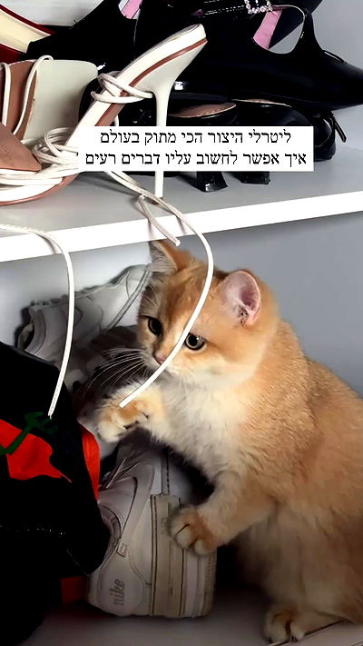 itsilanosh itsilanosh archive video