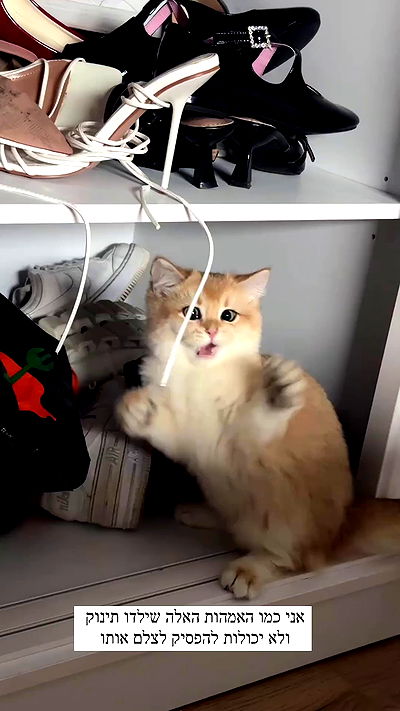 itsilanosh itsilanosh archive video