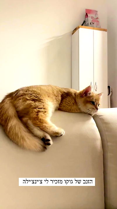 itsilanosh itsilanosh archive video